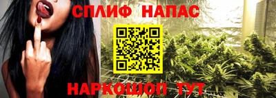 стаф Кулебаки