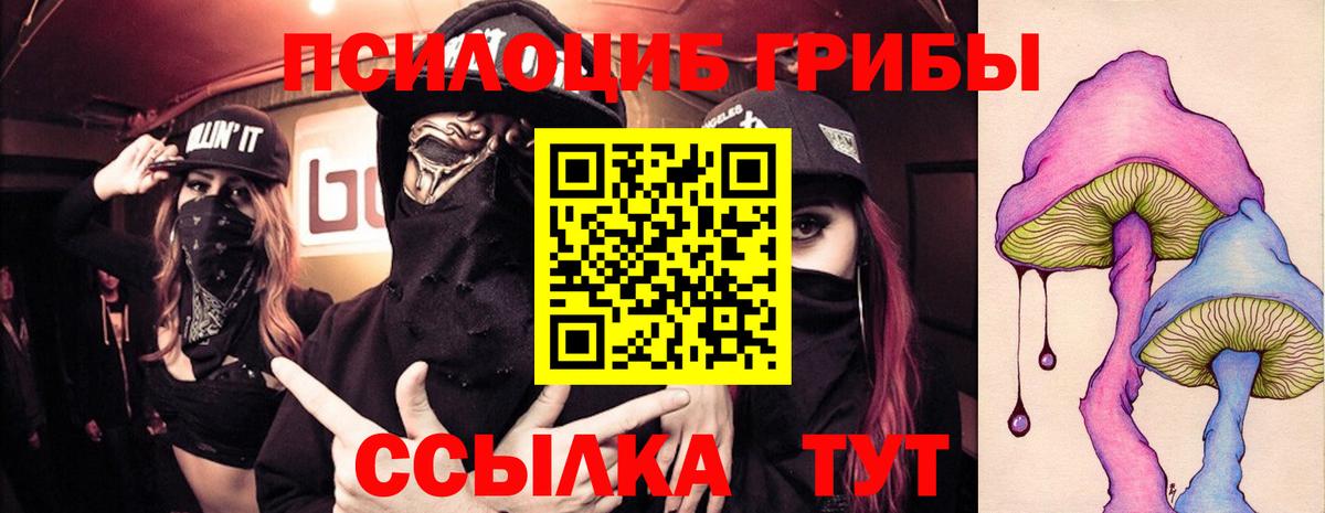 Псилоцибиновые грибы Psilocybe  Галлюциногенные грибы мицелий  Миасс  Вход с VPN 
